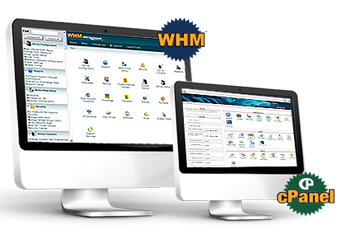 WordPress Australian Web Design WordPress Responsive Australian Web Design